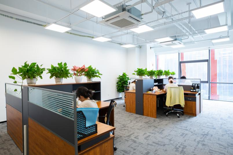 Bevictorΰ�¹���-Τ��(�й�)����-ΰ��ʼ��1946