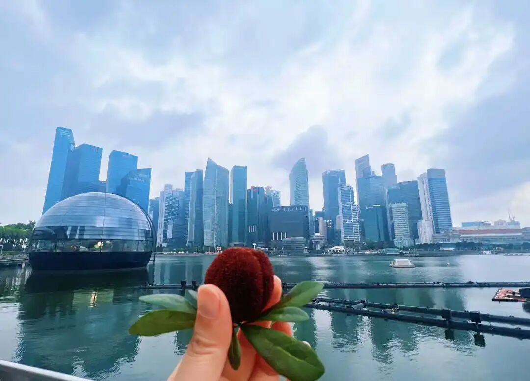 Bevictorΰ¹-Τ(й)-ΰʼ1946